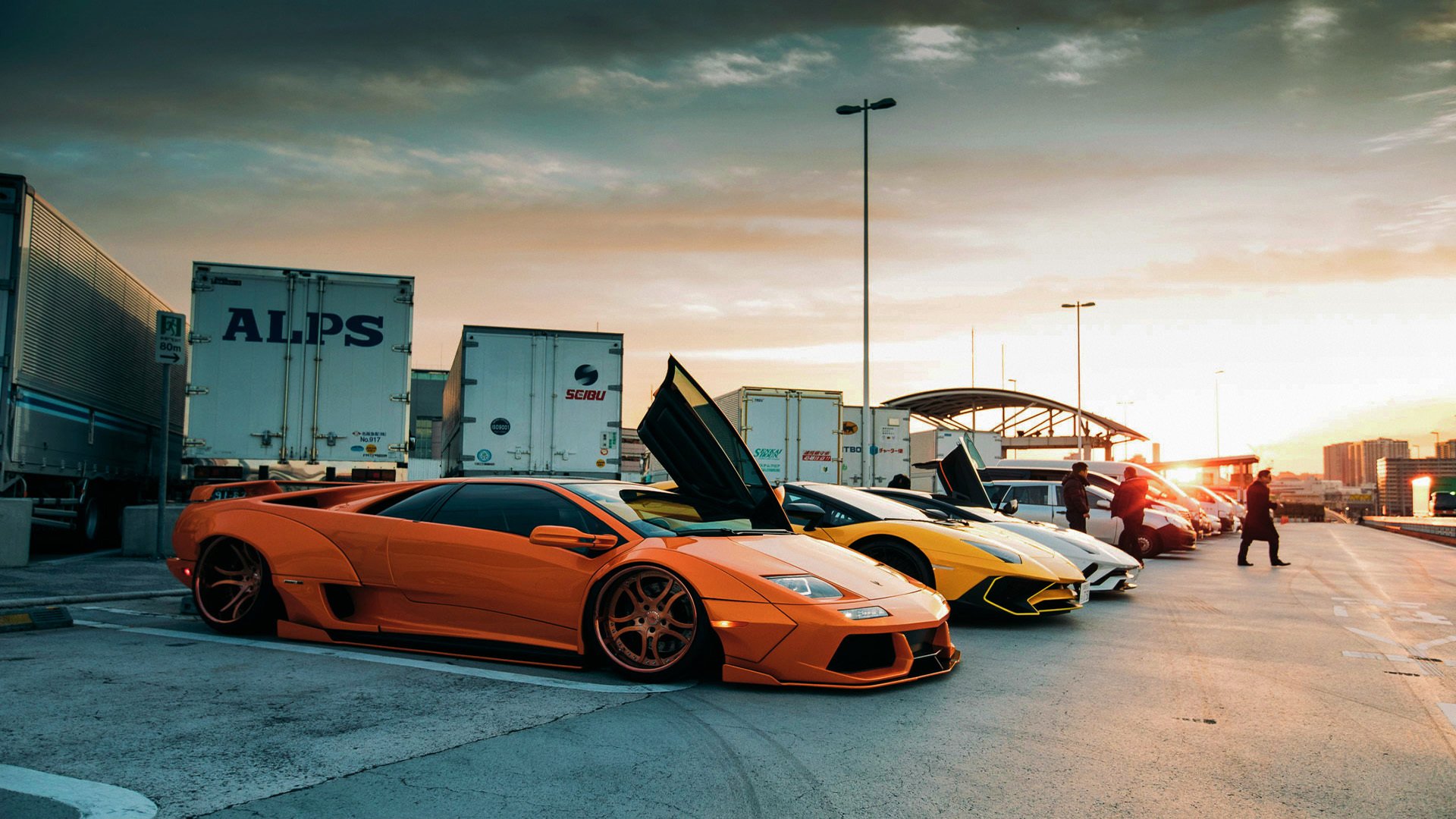 九游体育网页版-_湿地赛场：别样风景中的激烈角逐_，2020湿地主题绘画大赛