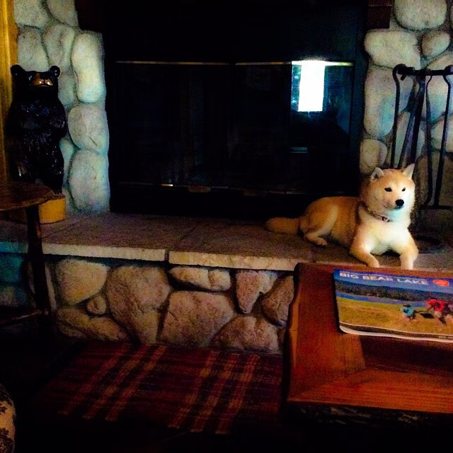 九游博彩-关键伤缺与战术调整：球队如何克服困难？，关键球员篮球